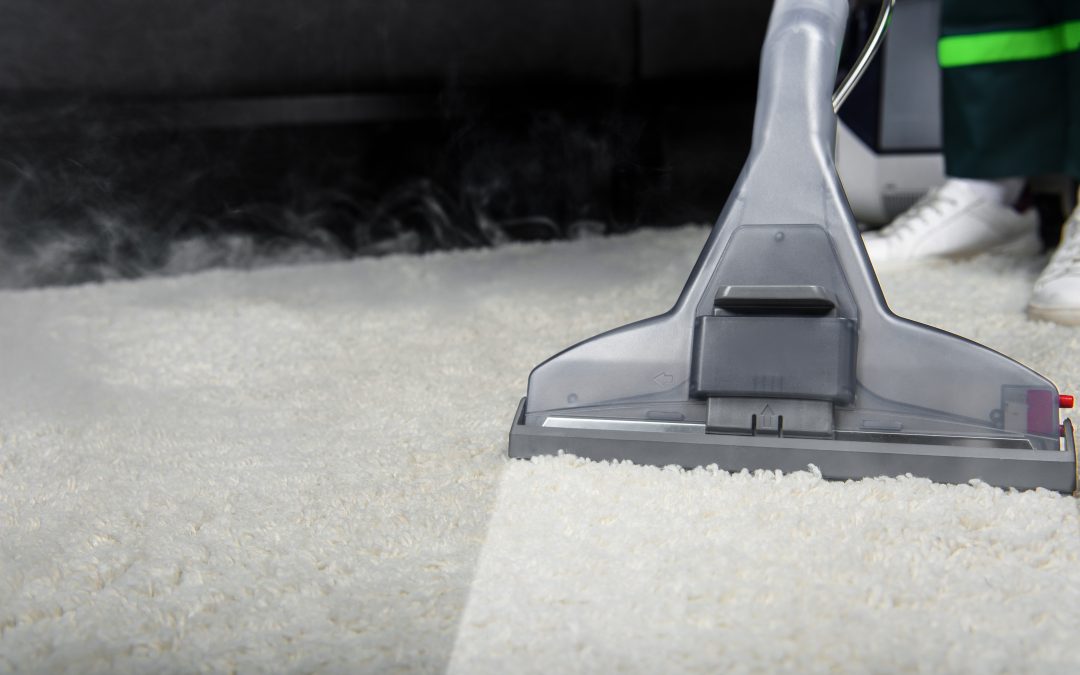 The Top 7 Benefits of Using Professional Steam Cleaners in Your Home